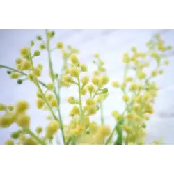 Obiektyw  Nikon Nikkor Z 17-28mm f/2.8 | cena zawiera rabat natychmiastowy 850 zł