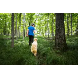 Obiektyw  Nikon Nikkor Z 17-28mm f/2.8 | cena zawiera rabat natychmiastowy 850 zł