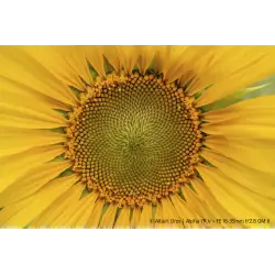 Obiektyw  Sony FE 16-35mm f/2.8 GM II | Zadzwoń Po Rabat