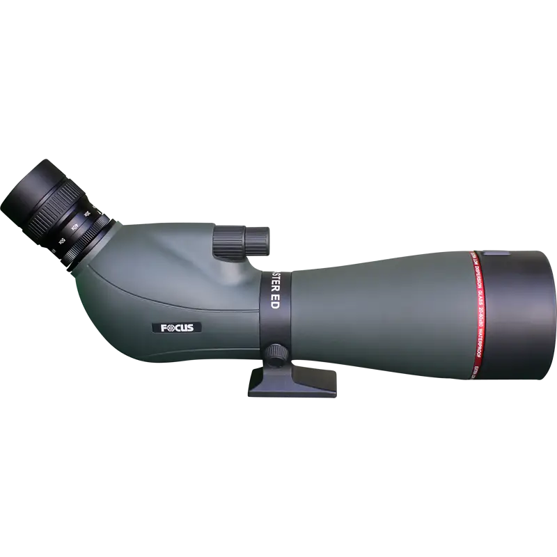 FOCUS VIEWMASTER ED 20-60X80 WP