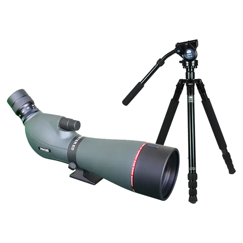 Kit Focus Viewmaster ED 20-60x80, with Sirui R2004+VH10