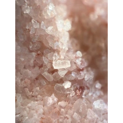 Obiektyw do zdjęć mikroskopowych 40x do iPhone