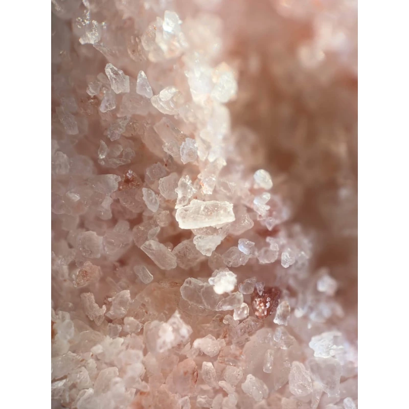 Obiektyw do zdjęć mikroskopowych 40x do iPhone