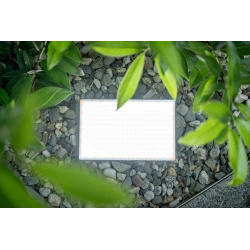 Lampa LED Newell RGB-W Rangha Max XL