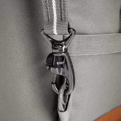 Pacsafe GO 44l Carry-on plecak stone
