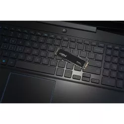 Crucial P3 Plus            500GB NVMe PCIe M.2 SSD