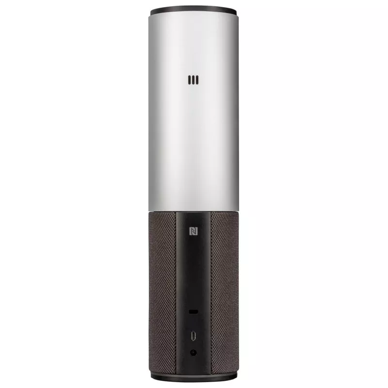 Logitech Conference Cam Connect