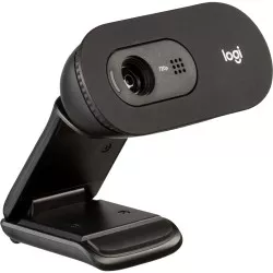 Logitech C505e
