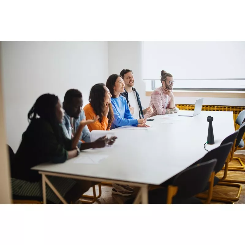 IPEVO TOTEM 180 Degree 4K Video Conference Camera