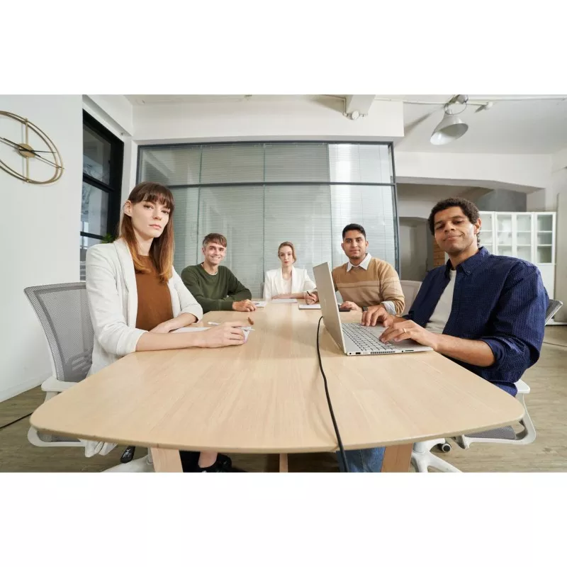 IPEVO TOTEM 180 Degree 4K Video Conference Camera