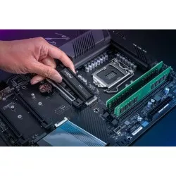 Crucial P310 Gen4 2280 Dysk  2TB NVMe PCIe M.2 SSD