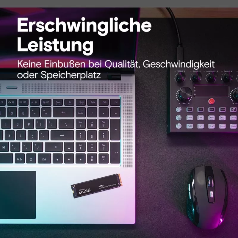 Crucial P510 Gen5 2280       1TB NVMe PCIe M.2 SSD