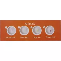 Levenhuk LabZZ C12 zestaw preparatów zwierzecych