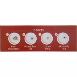 Levenhuk LabZZ C12 zestaw preparatów zwierzecych