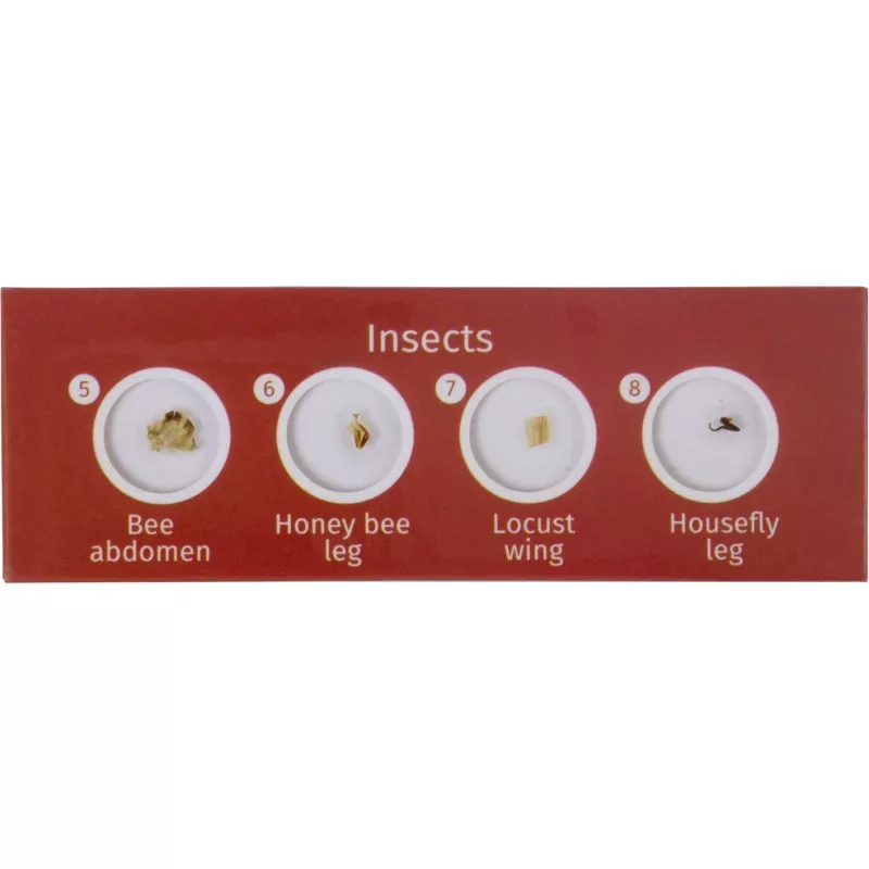 Levenhuk LabZZ C12 zestaw preparatów zwierzecych