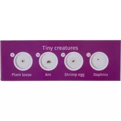 Levenhuk LabZZ C12 zestaw preparatów zwierzecych