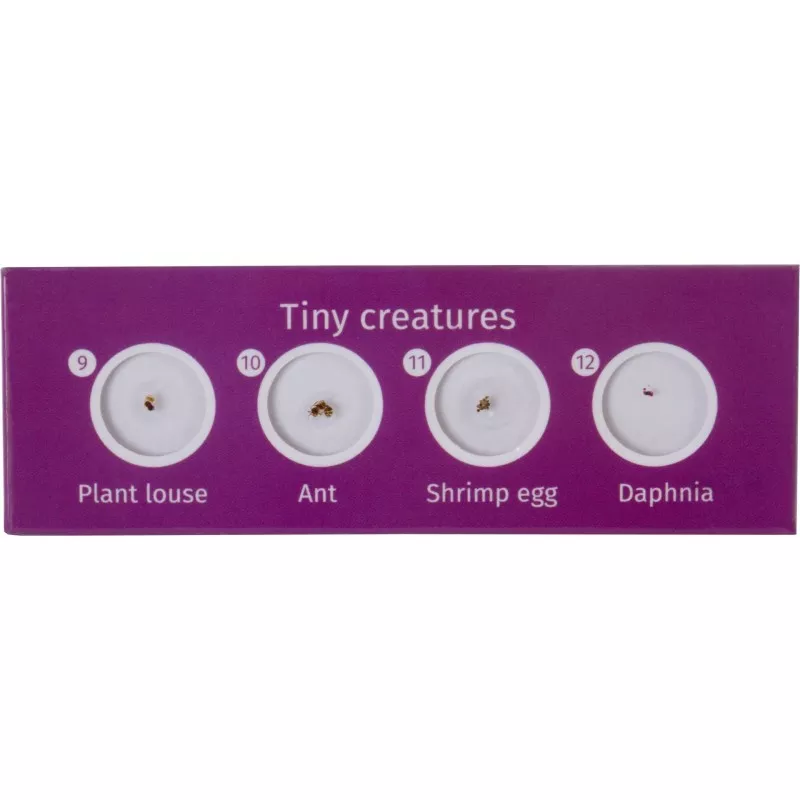 Levenhuk LabZZ C12 zestaw preparatów zwierzecych