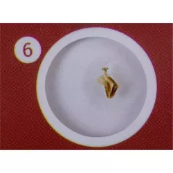 Levenhuk LabZZ C12 zestaw preparatów zwierzecych