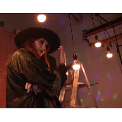 Żarówka LED Aputure Accent B7c