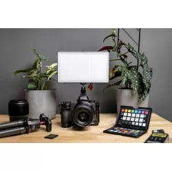 Lampa LED Newell RGB-W Rangha Max