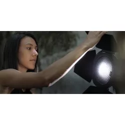 Wrota Aputure Barn Door