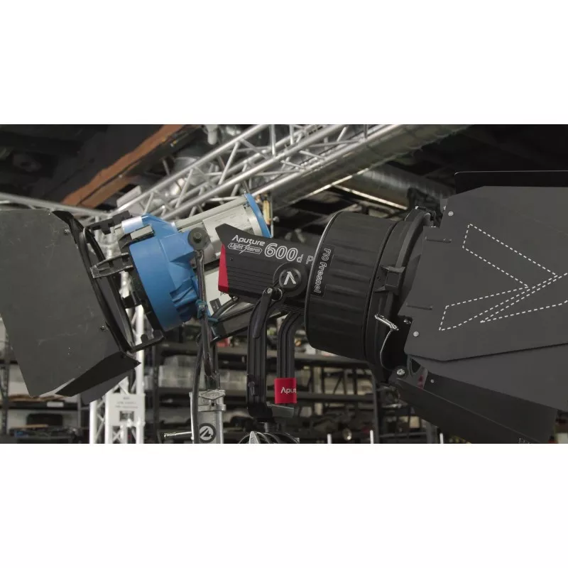 Wrota Aputure F10 Barn Doors