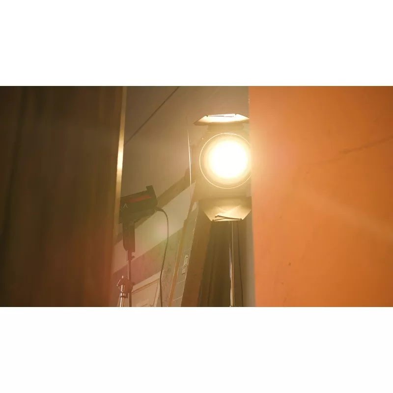 Wrota Aputure F10 Barn Doors