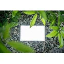 Lampa LED Newell RGB-W Rangha Max XL