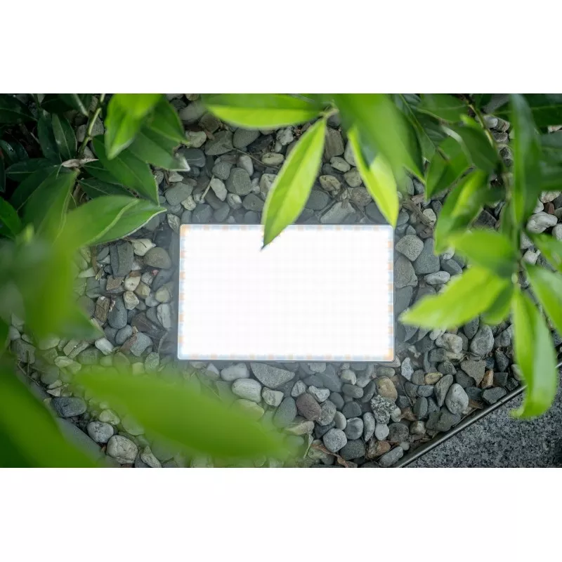 Lampa LED Newell RGB-W Rangha Max XL