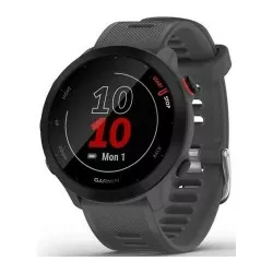 Garmin Forerunner 55 szary
