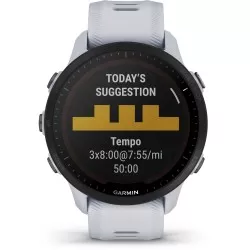 Garmin Forerunner 955 solarny jasnoszary/czarny