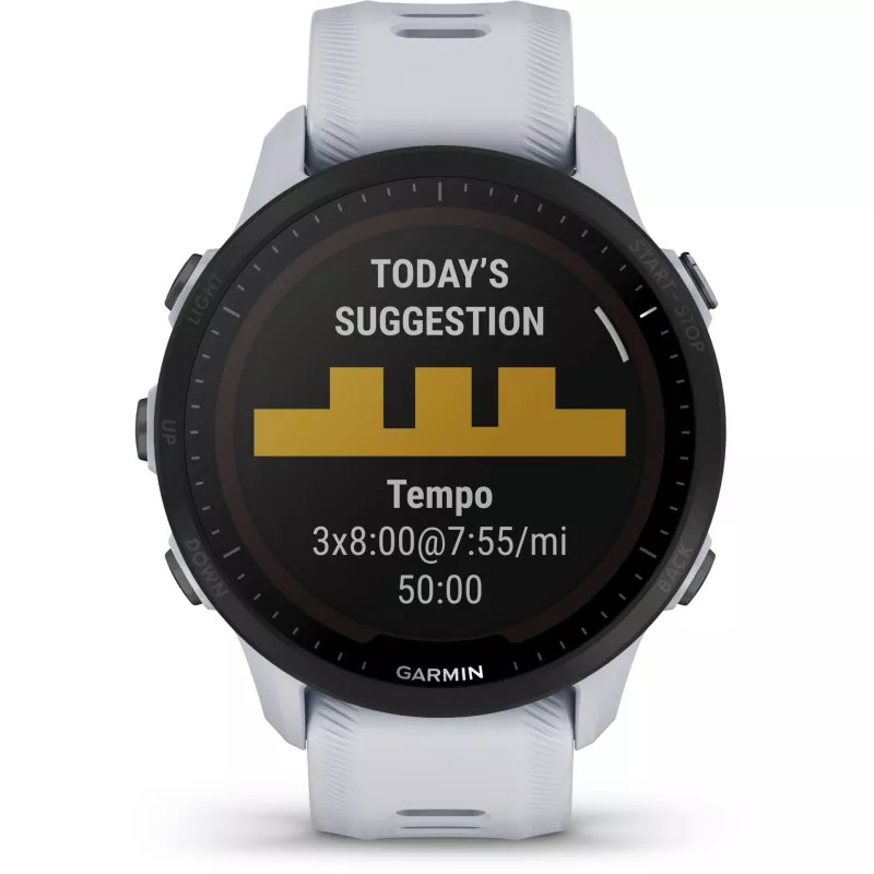 Garmin Forerunner 955 solarny jasnoszary/czarny