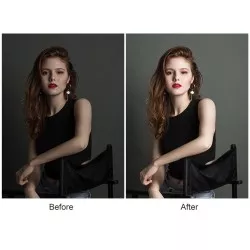 Blenda fotograficzna typu U 4w1 PRO STUFF 180x60cm