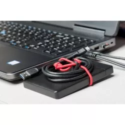 ThinkTank Red Whips V2