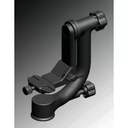 Benro głowica GH2 + płytka PL-100