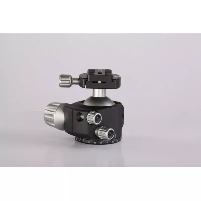 Leofoto głowica LH-55+QP-70N