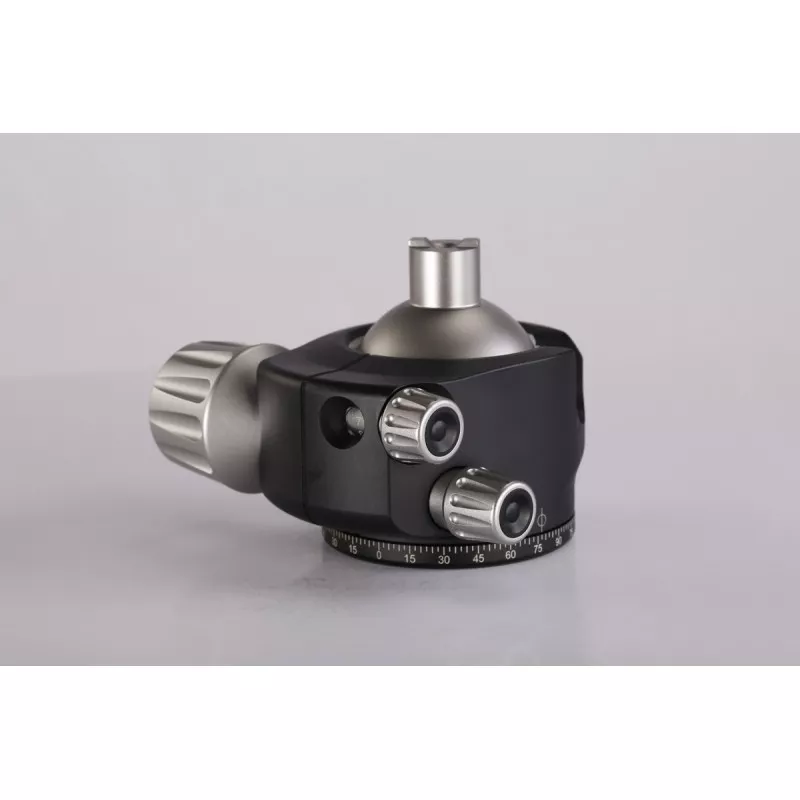 Leofoto głowica LH-55+QP-70N