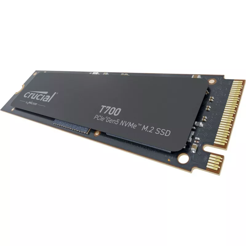 Crucial T700                 2TB PCIe Gen5 NVMe M.2 SSD