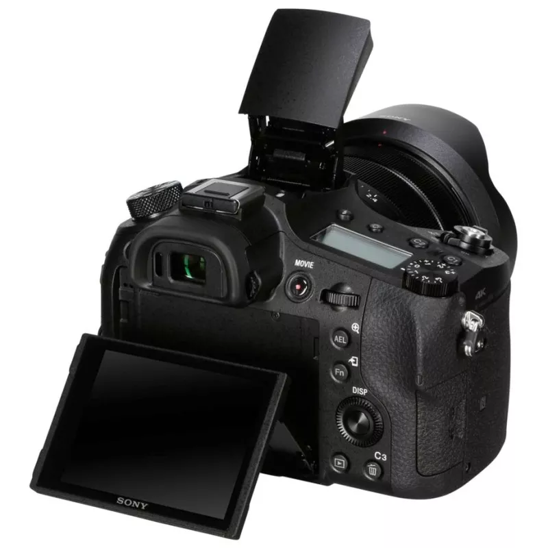 Sony DSC-RX10 Mark IV