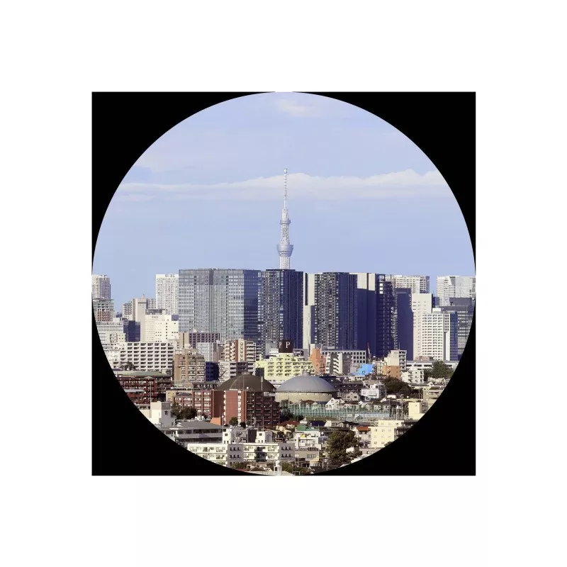 Canon Lornetka 12x36 IS III - Profesjonalne Lornetki Canon z 12-krotnym Powiększeniem