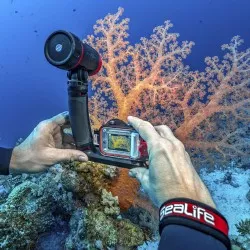 Sealife Reefmaster RM-4K Pro 2000 Set (SL354)