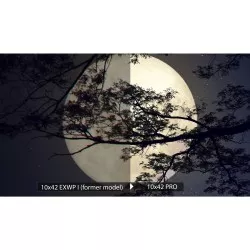 Olympus 10x42 Pro - Lornetka Terenowa profesjonalna