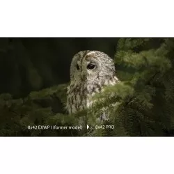 Olympus  8x42 Pro Lornetka Terenowa