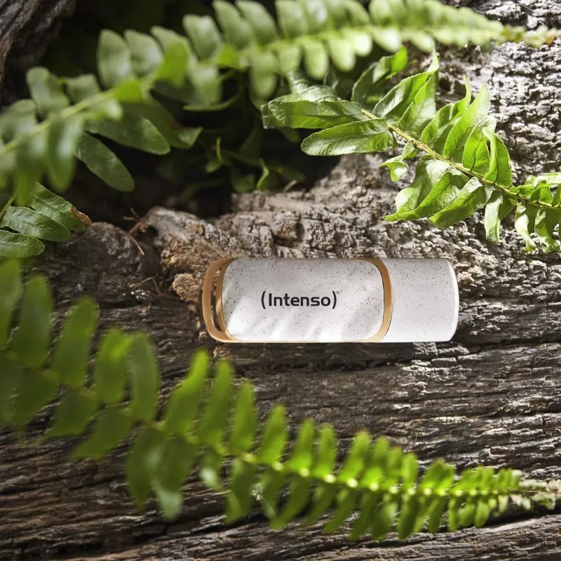 Intenso Green Line          32GB USB Stick 3.2 Gen 1