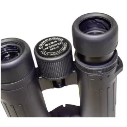 Braun Compagno           8x34 WP