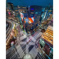 Adapter bagnetowy Venus Optics Laowa Magic Shift Converter LW-MSC 1,4x - Nikon F / Nikon Z