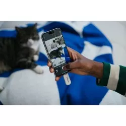 Verbatim Plectra White 64GB USB-C Flash Drive          30228