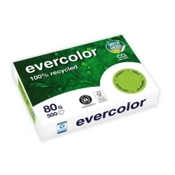 Clairefontaine EverColor zielony Recyclingpapier A 4 80 g 500 Bl.