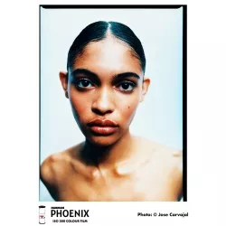 Harman Phoenix Colour 200 120