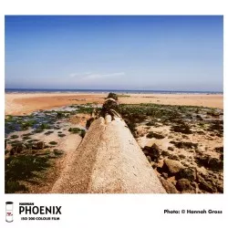 Harman Phoenix Colour 200 120